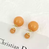 $27.00 USD Christian Dior Earrings For Women #1271014