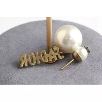 $32.00 USD Christian Dior Earrings For Women #1271352