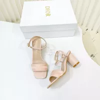 $105.00 USD Christian Dior Sandal For Women #1285786