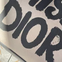 $100.00 USD Christian Dior AAA Quality Handbags For Women #1299993