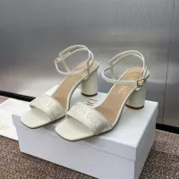 $102.00 USD Christian Dior Sandal For Women #1305961