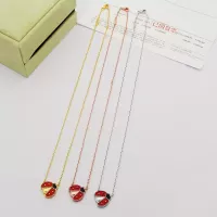 $25.00 USD Van Cleef & Arpels Necklaces For Women #1311521