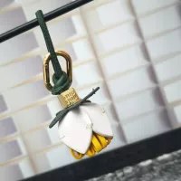 $32.00 USD MIU MIU Key Holder And Bag Buckle #1311544
