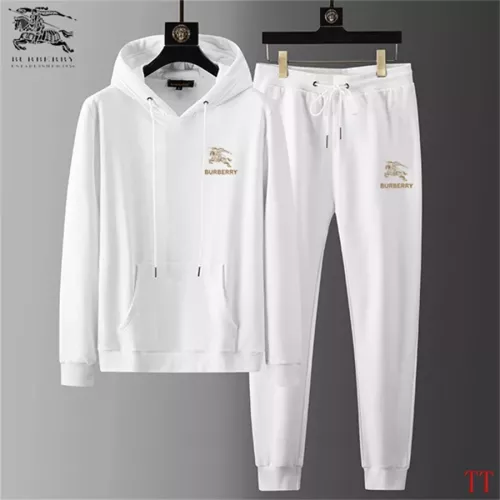 Burberry Tracksuits Long Sleeved For Men #1322901