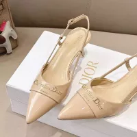 $102.00 USD Christian Dior Sandal For Women #1320243