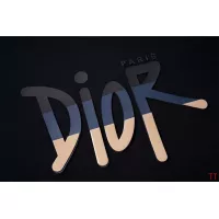 $32.00 USD Christian Dior T-Shirts Short Sleeved For Unisex #1323241