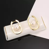 $27.00 USD Christian Dior Earrings For Women #1327352