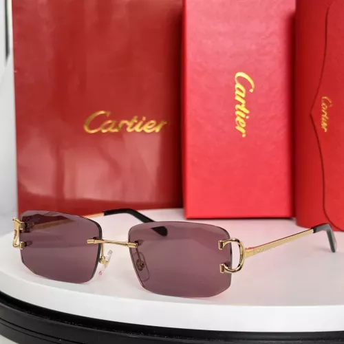 Cartier AAA Quality Sunglassess #1334725
