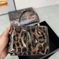 $170.00 USD Dolce & Gabbana AAA Quality Handbags For Women #1333008