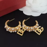 $32.00 USD Dolce & Gabbana D&G Earrings For Women #1336481