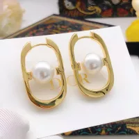 $27.00 USD Christian Dior Earrings For Women #1337365