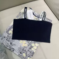 $45.00 USD Christian Dior Bathing Suits For Women #1338471