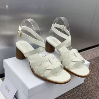 $105.00 USD Christian Dior Sandal For Women #1341032