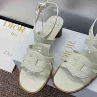 $105.00 USD Christian Dior Sandal For Women #1341032