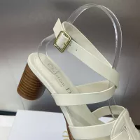 $105.00 USD Christian Dior Sandal For Women #1341032