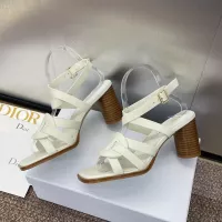 $105.00 USD Christian Dior Sandal For Women #1341038