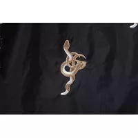 $48.00 USD Gucci Pants For Unisex #1349271