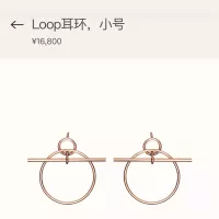 $25.00 USD Hermes Earrings For Women #1350875