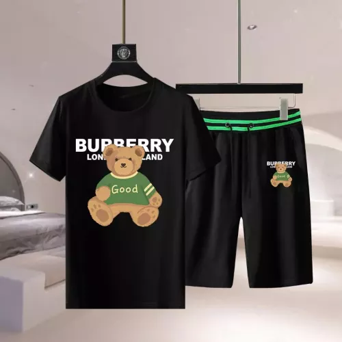 Burberry Tracksuits Sleeveless For Men #1354352