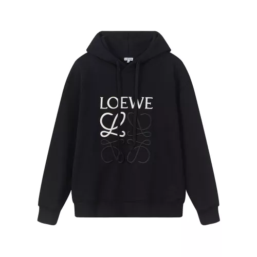 LOEWE Hoodies Long Sleeved For Unisex #1354863