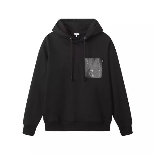 LOEWE Hoodies Long Sleeved For Unisex #1354865