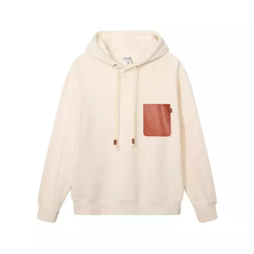 LOEWE Hoodies Long Sleeved For Unisex #1354866