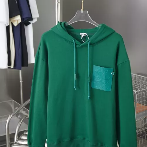 LOEWE Hoodies Long Sleeved For Unisex #1359888