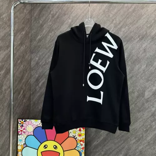 LOEWE Hoodies Long Sleeved For Unisex #1362262