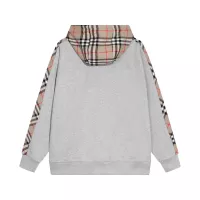 $76.00 USD Burberry Hoodies Long Sleeved For Unisex #1354842