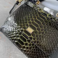 $115.00 USD Dolce & Gabbana AAA Quality Handbags For Women #1355915
