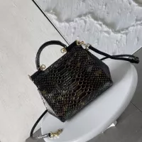 $115.00 USD Dolce & Gabbana AAA Quality Handbags For Women #1355917