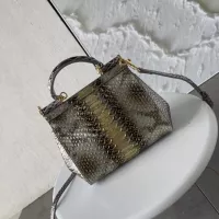 $115.00 USD Dolce & Gabbana AAA Quality Handbags For Women #1355924