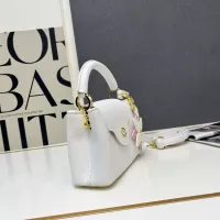 $105.00 USD Louis Vuitton AAA Quality Handbags For Women #1358918