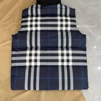$160.00 USD Burberry Down Feather Coat Sleeveless For Men #1359568