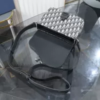 $170.00 USD Christian Dior AAA Man Messenger Bags #1359781