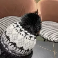 $38.00 USD Prada Caps #1360234