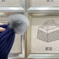 $38.00 USD Prada Caps #1360385