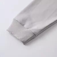 $72.00 USD Balenciaga Hoodies Long Sleeved For Unisex #1362345