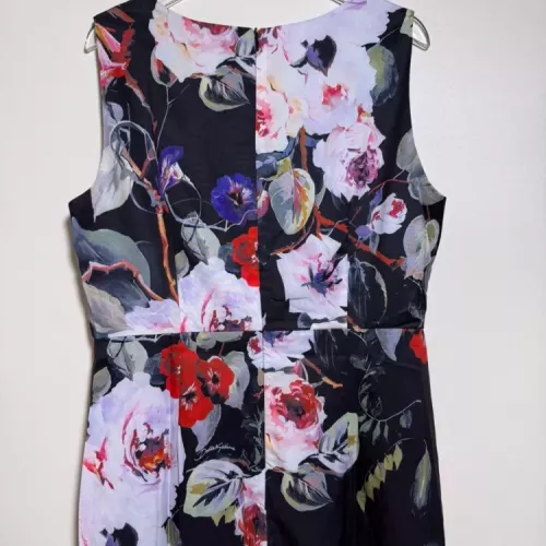 Replica Dolce & Gabbana Dresses Sleeveless For Women #1370641 $98.00 USD for Wholesale