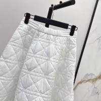 $125.00 USD Christian Dior Skirts For Women #1366331