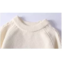 $48.00 USD Christian Dior Sweaters Long Sleeved For Men #1370446