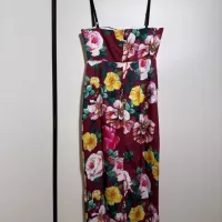 $102.00 USD Dolce & Gabbana Dresses Sleeveless For Women #1370643
