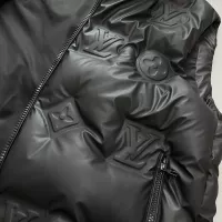 $170.00 USD Louis Vuitton LV Down Feather Coat Sleeveless For Unisex #1371115