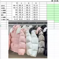 $160.00 USD Moncler Down Feather Coat Long Sleeved For Women #1371165