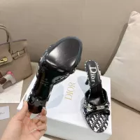 $102.00 USD Christian Dior Slippers For Women #1371754