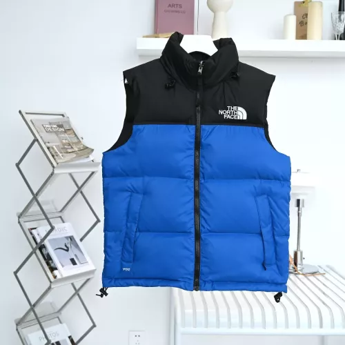 The North Face Down Feather Coat Sleeveless For Unisex #1374682