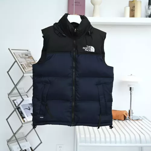 The North Face Down Feather Coat Sleeveless For Unisex #1374684