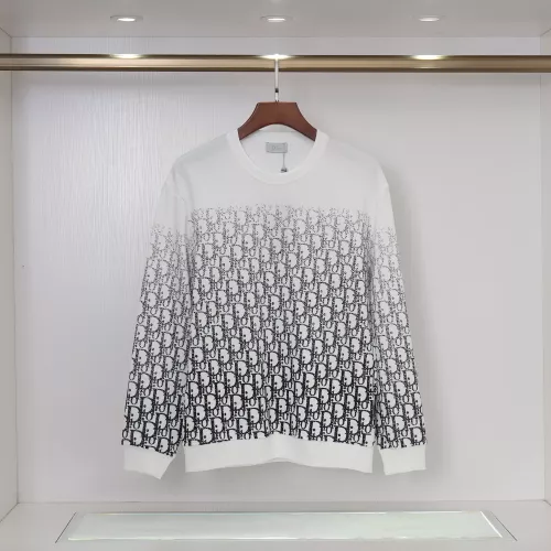 Christian Dior Hoodies Long Sleeved For Men #1376952