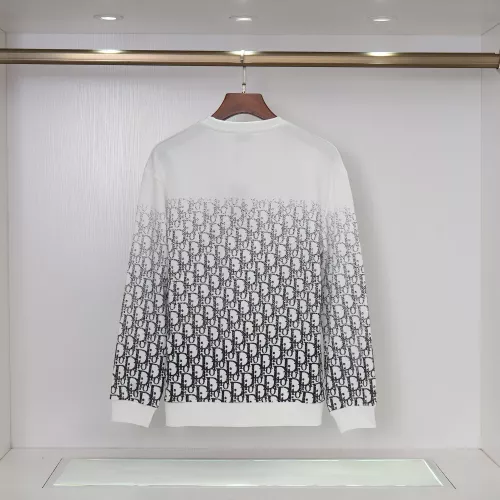 Replica Christian Dior Hoodies Long Sleeved For Men #1376952 $42.00 USD for Wholesale
