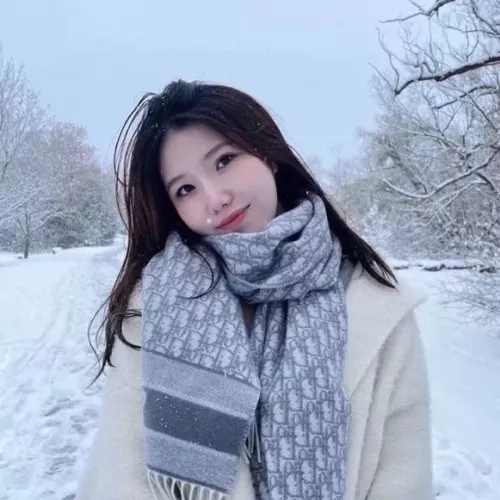 Replica Christian Dior Scarf #1379548 $52.00 USD for Wholesale